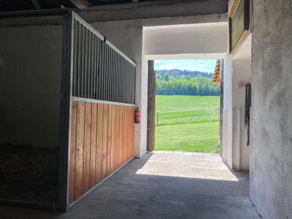 Apartmán pod Sříbrnou horou Lhenice Exterior foto
